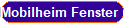 Mobilheim Fenster und Dachsanierung